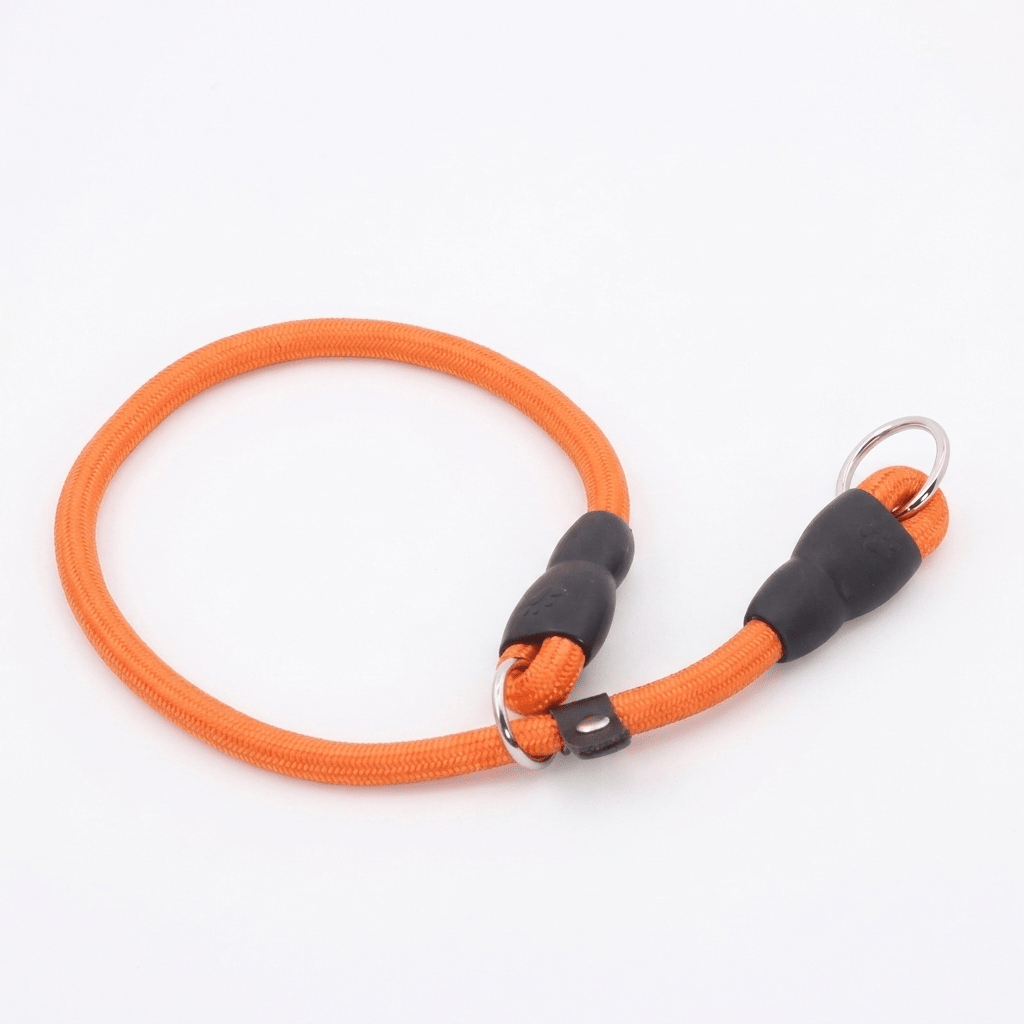 collier chien en corde d'escalade orange produit seul sur fond blanc
