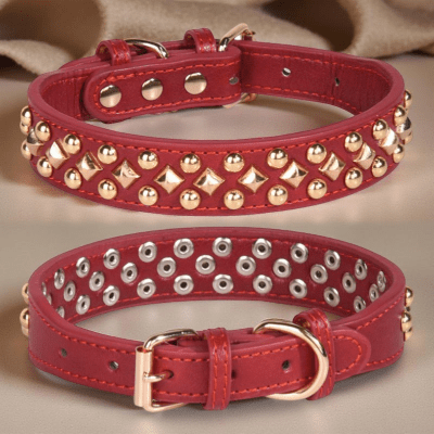 Collier chien cuir élégant robuste