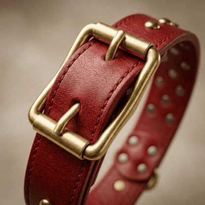 collier chien cuir cloute large gros plan boucle metal rouge