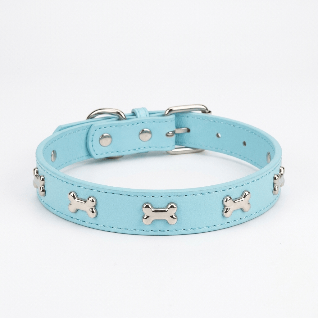 collier chien cuir veritable decor os bleu produit seul sur fond blanc