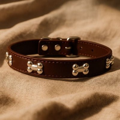 collier chien cuir véritable décor os marron sur fond textile naturel