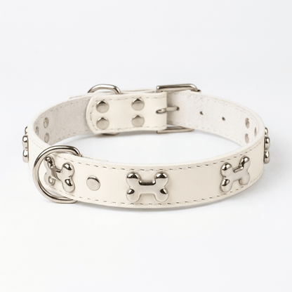 collier chien cuir veritable decor os blanc produit seul sur fond blanc
