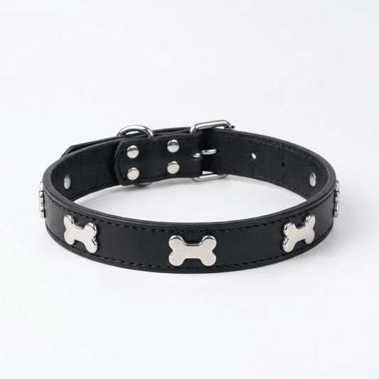 collier chien cuir veritable decor os noir produit seul sur fond blanc