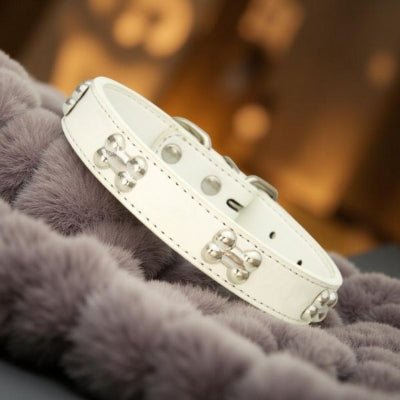 collier chien cuir véritable décor os blanc élégant sur fond doux