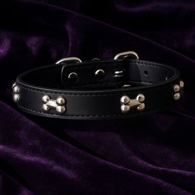 collier chien cuir véritable décor os noir premium sur velours violet