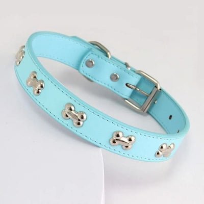 collier chien cuir véritable décor os bleu clair moderne en gros plan