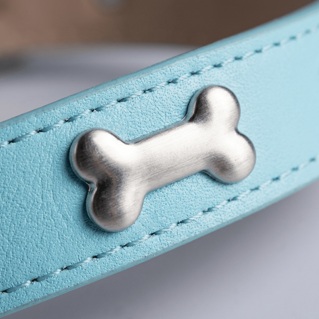 collier chien cuir veritable decor os bleu gros plan charme os metal