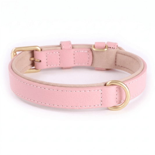 collier chien en cuir rembourre rose produit seul sur fond blanc