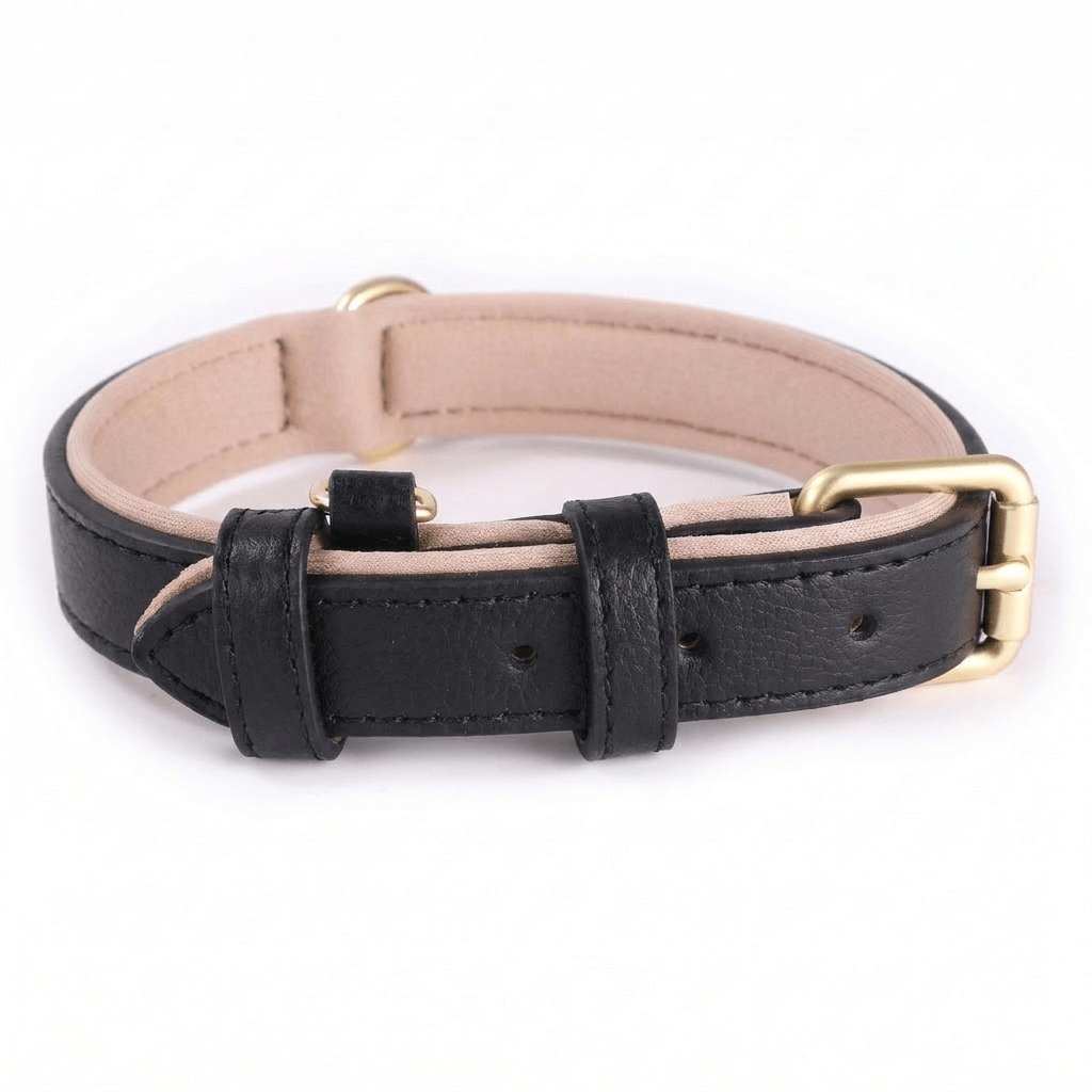collier chien en cuir rembourre noir produit seul sur fond blanc