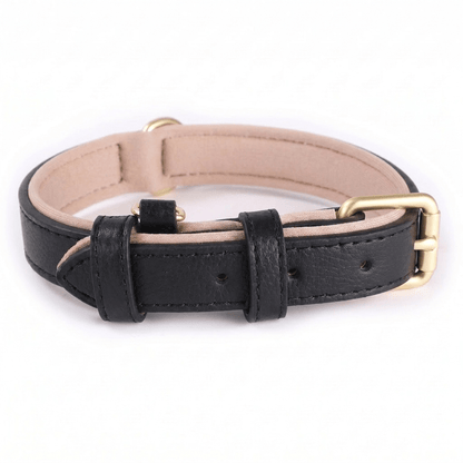 collier chien en cuir rembourre noir produit seul sur fond blanc