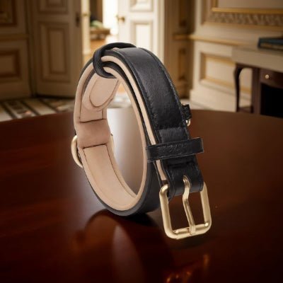 Collier chien en cuir - CozyPaw™ - Chien store