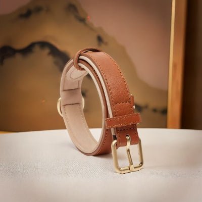 Collier chien en cuir - CozyPaw™ - Chien store