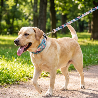 Chien en promenade dans un parc avec son collier et sa laisse liseré turquoise
