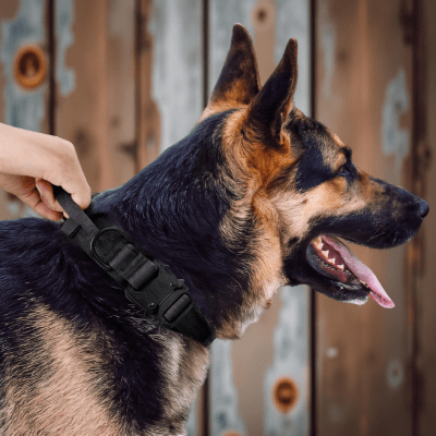 Collier chien robuste poignée de contrôle ergonomique pour promenade sereine - ControlMax™ - Chien store