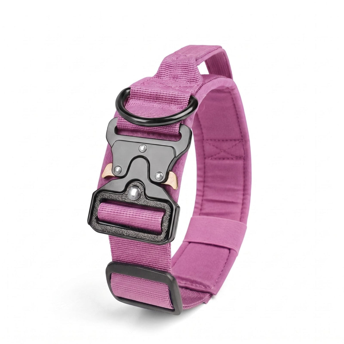 guide des tailles collier chien tactique M L XL tour de cou et poids