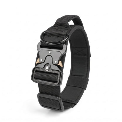 collier chien tactique rose vu de biais, produit seul