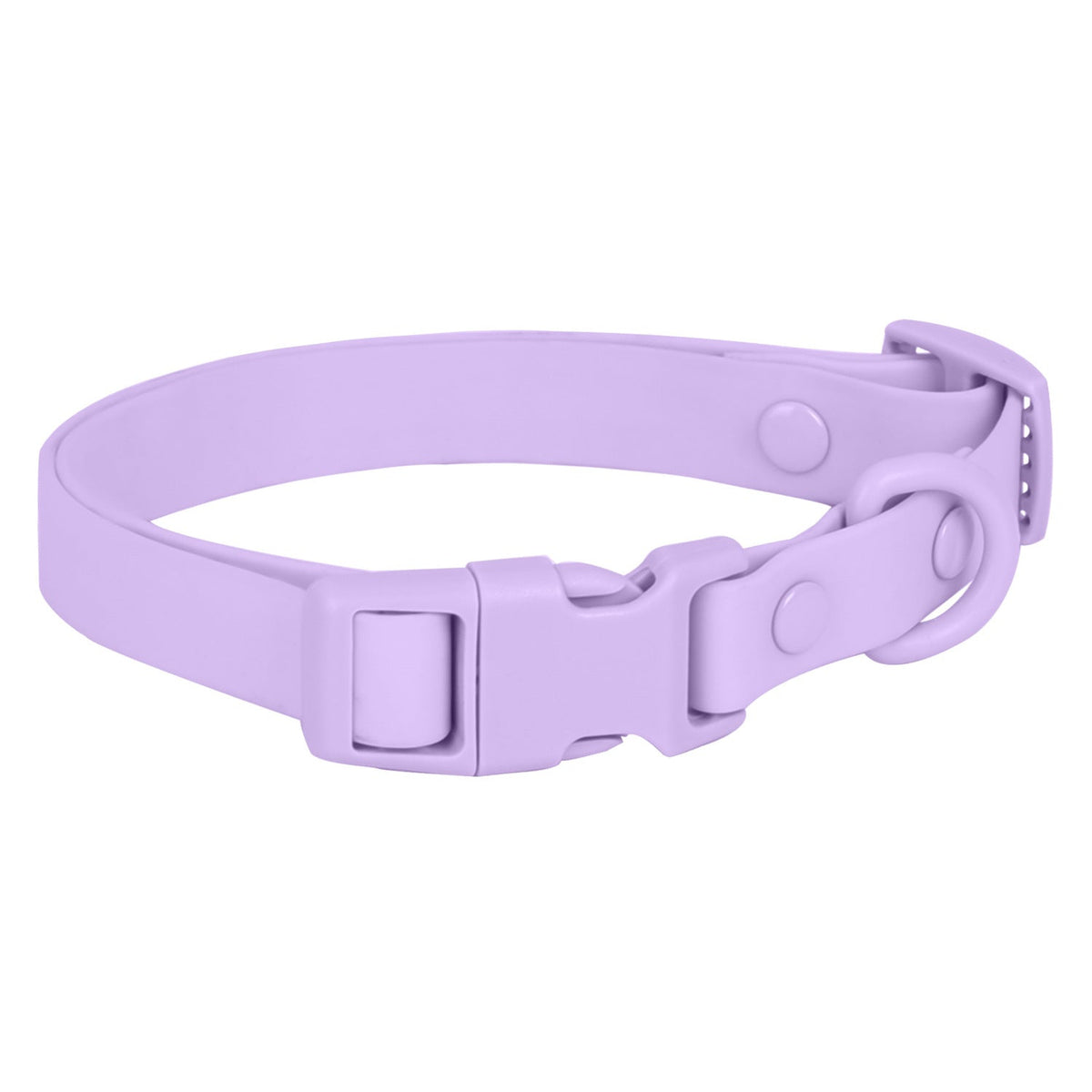 Collier chien | Waterproof
