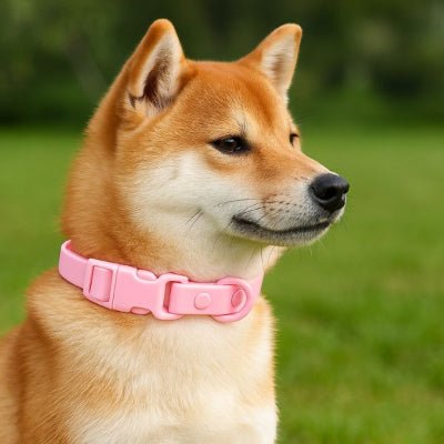 collier chien rose confortable sur shiba waterproof