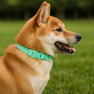 collier chien vert design moderne sur shiba waterproof