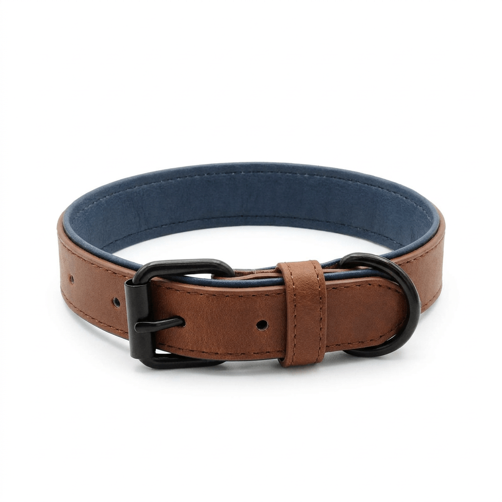 collier cuir chien marron produit seul sur fond blanc