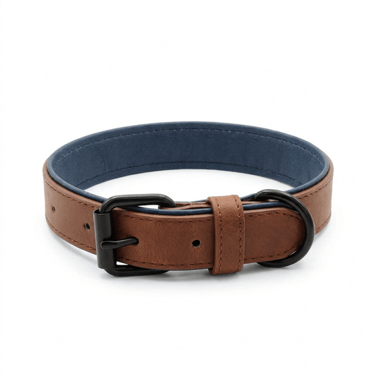 collier cuir chien marron produit seul sur fond blanc