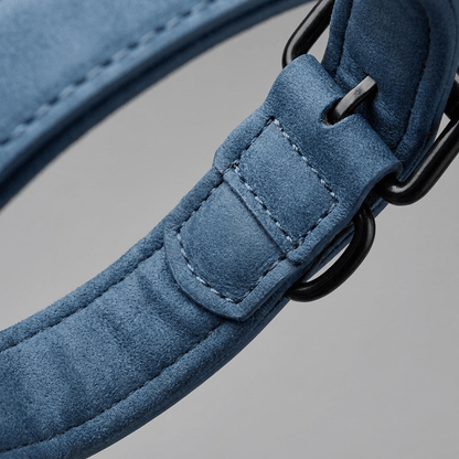 collier cuir chien bleu gros plan doublure interieure rembourree
