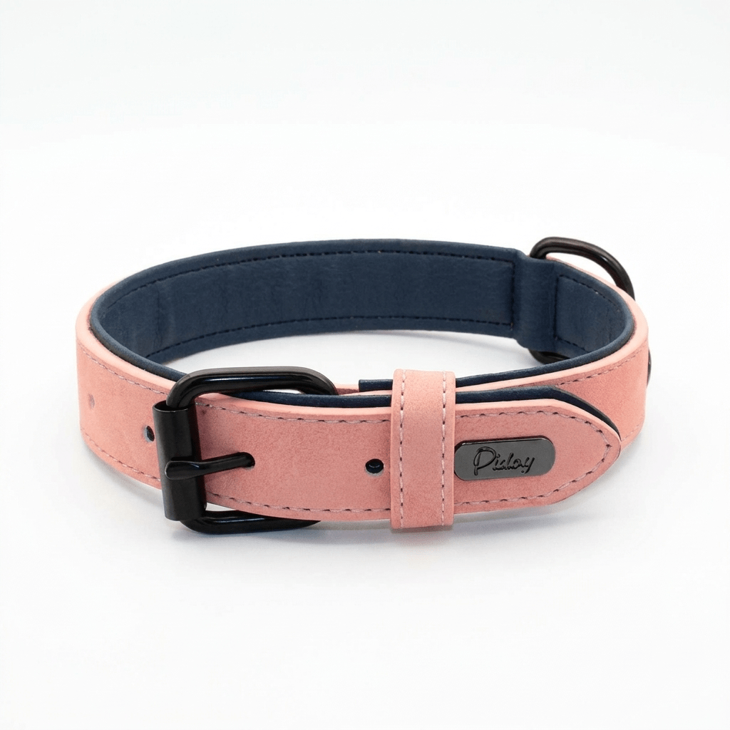 collier cuir chien rose produit seul sur fond blanc
