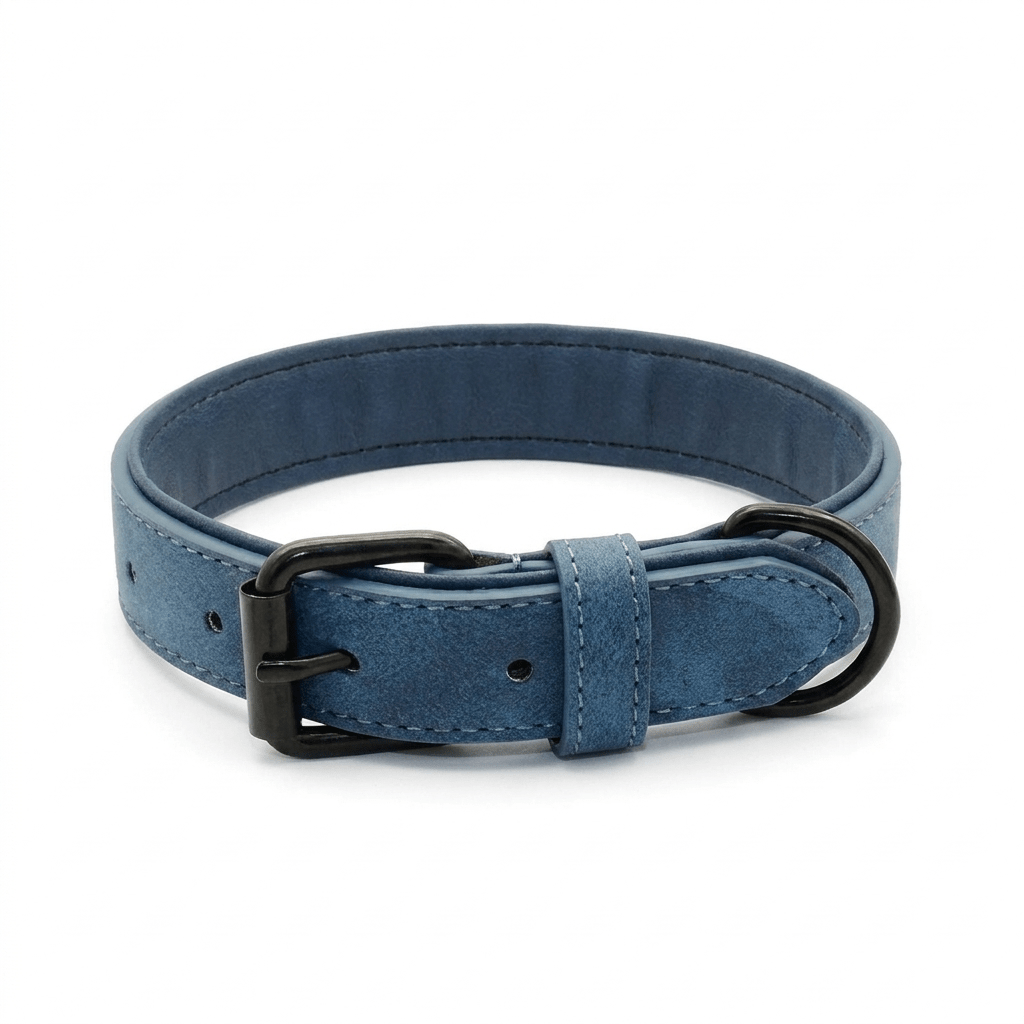 collier cuir chien bleu produit seul sur fond blanc