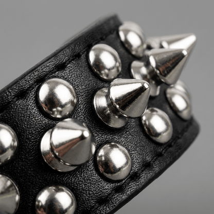 collier chien cuir cloute avec laisse assortie gros plan rivets chromes noir