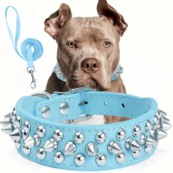 Collier cuir chien bleu clair RivetRuff avec rivets argent et laisse assortie design robuste et confortable pour chiens moyens et grands
