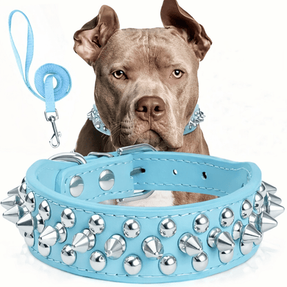 Collier cuir chien bleu clair RivetRuff avec rivets argent et laisse assortie design robuste et confortable pour chiens moyens et grands
