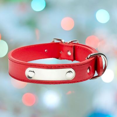 collier-pour-chien-cuir-rouge