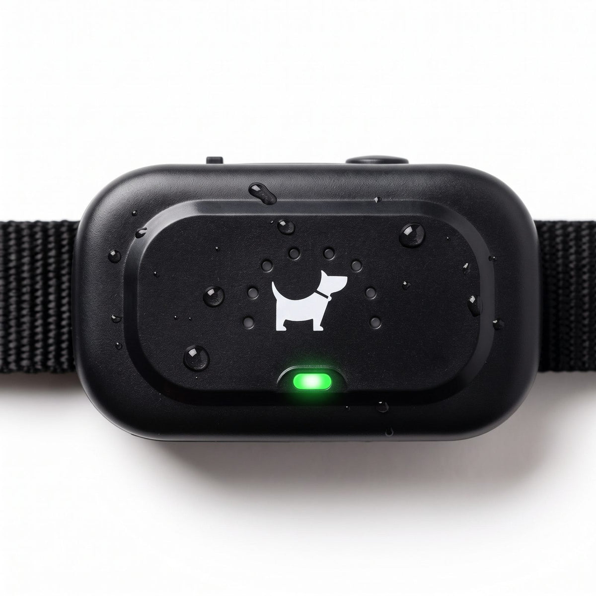 Zoom sur les boutons choc, vibration et verrouillage de la télécommande du collier de dressage chien