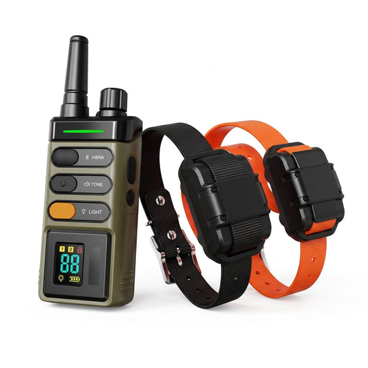 Télécommande et les deux colliers récepteurs noir et orange du collier de dressage chien 2 chiens
