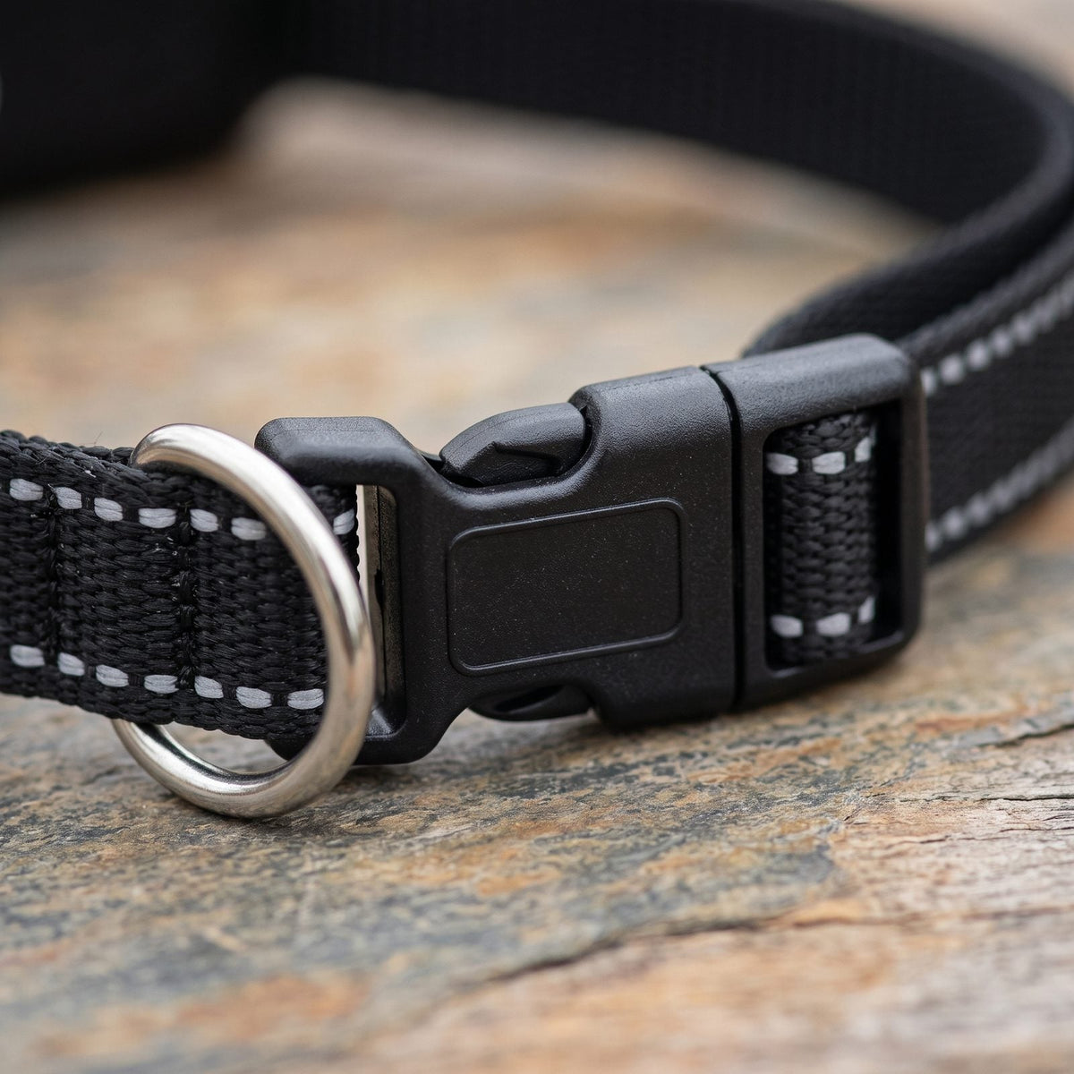 Gros plan sur la boucle à dégagement rapide et l'anneau en D de la sangle du collier de dressage chien