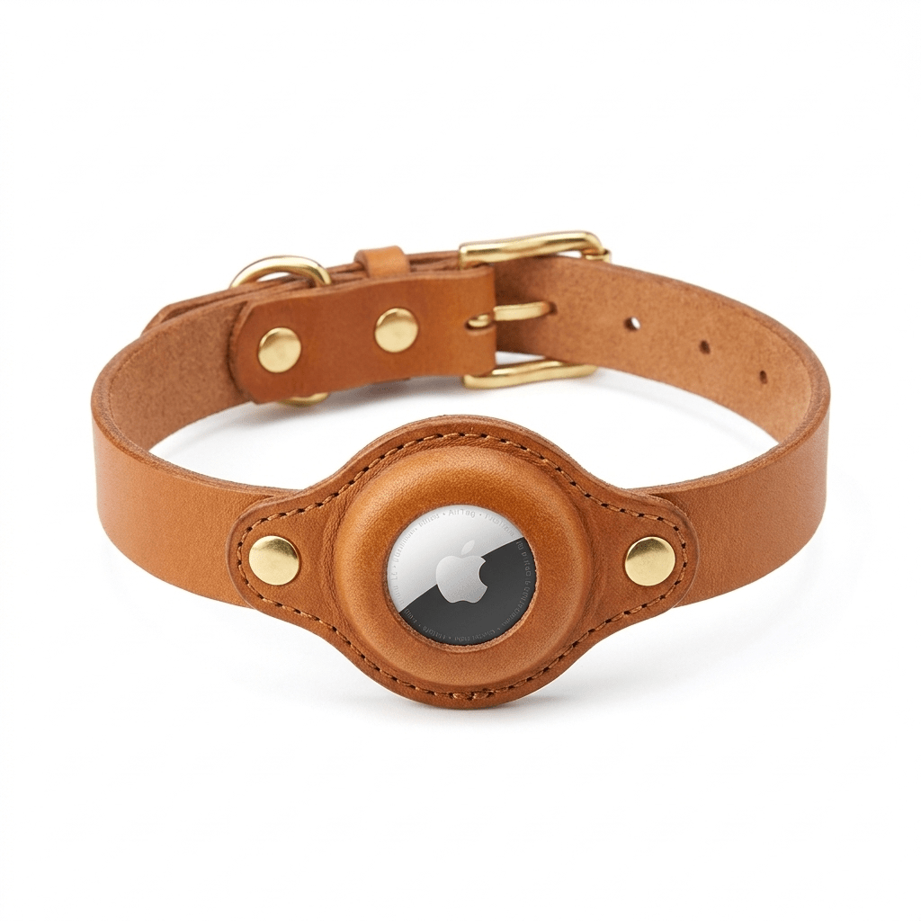 collier en cuir pour chien marron produit seul sur fond blanc