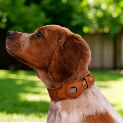 Collier en cuir pour chien - SafePaw™ - Chien store