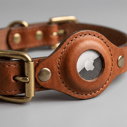 collier en cuir pour chien marron gros plan support airtag avec airtag visible