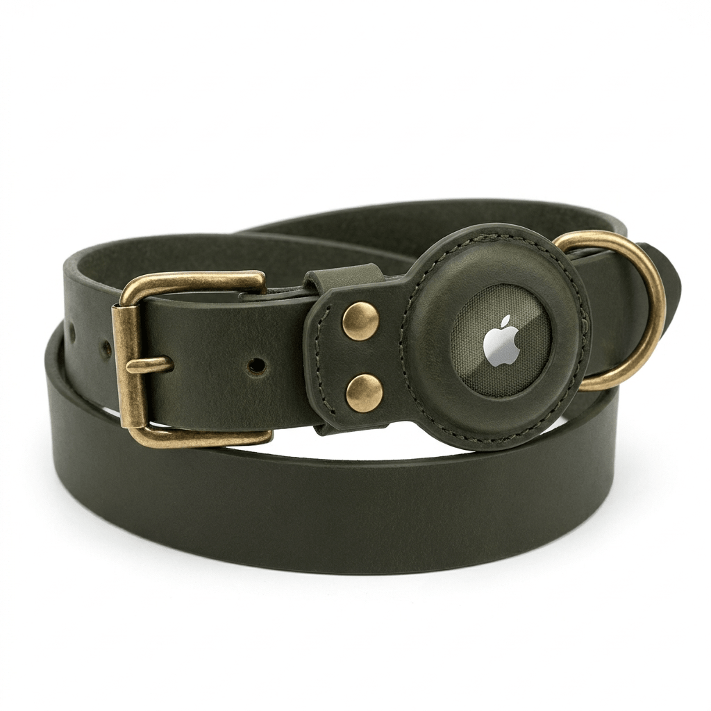 collier en cuir pour chien noir produit seul sur fond blanc