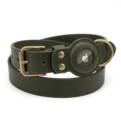 collier en cuir pour chien noir produit seul sur fond blanc
