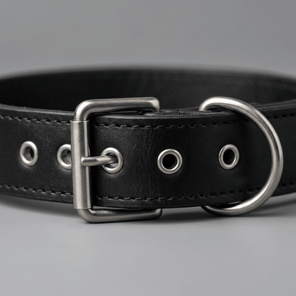 collier en cuir pour chien noir gros plan boucle et fermoir metal