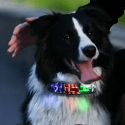 Collier lumineux chien intelligent 