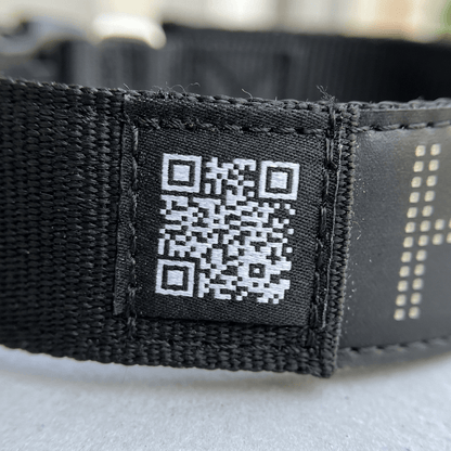 collier chien ecran led personnalisable gros plan qr code application