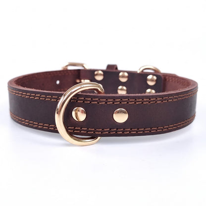 collier pour chien en cuir marron boldbark produit seul boucle et anneau dore studio