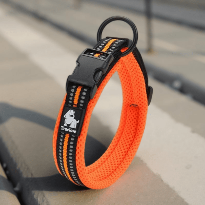 Collier pour chien orange ajustable