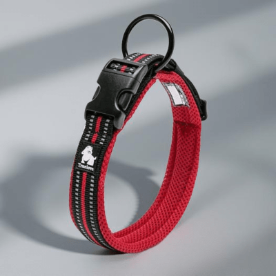 Collier pour chien rouge ajustable