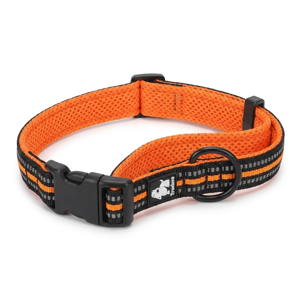 collier chien facile a enfiler orange produit seul sur fond blanc