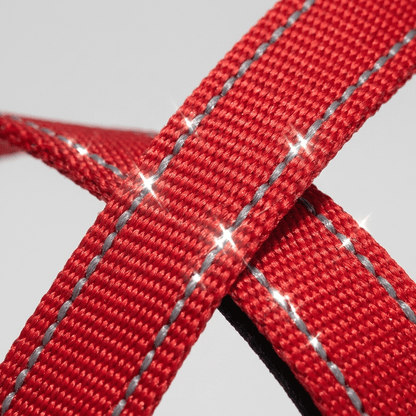 collier chien facile a enfiler gros plan coutures reflechissantes