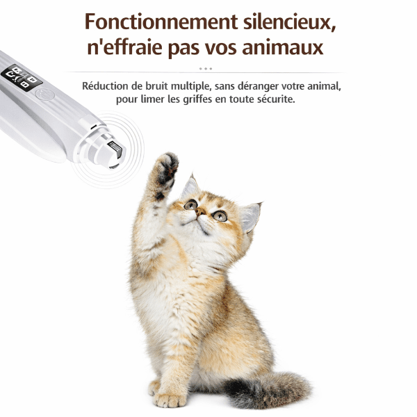 Coupe-griffes pour chien rechargeable par USB compatible ordinateur, chargeur et batterie externe