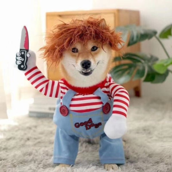 Chien Shiba Inu déguisé en poupée Chucky avec costume pour chien original et accessoire couteau factice